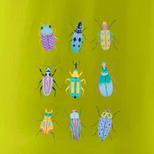 Farebné chrobáky (studio-arte.cz)