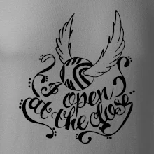 Harry - Zlatá strela