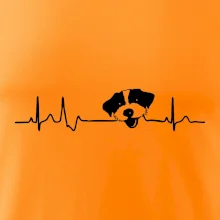 Jack Russell Teriér hrubosrstý Ekg Jack Russell Teriér hrubosrstý Ekg