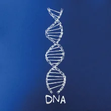 Cyklistovo DNA