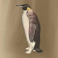 Tučniak kreslený vodovými farbami