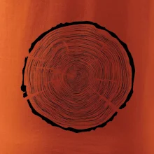 Letokruhy 100 bez veku