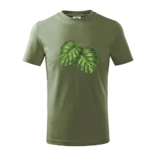 Monstera - dva listy