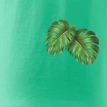 Monstera listy na prsu