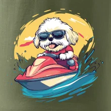 Lhasa Apso na vodnom skútri