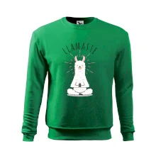 Yoga Llamaste Yoga Llamaste