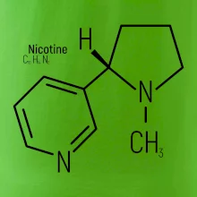 Molekulárna štruktúra Nikotín