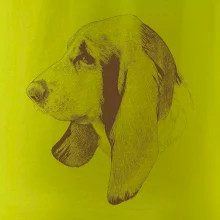 Basset - kreslená hlava