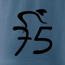 Cyklista oslavuje sedemdesiatpäťpäťky (75)