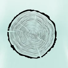 Letokruhy 60 bez veku