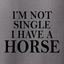 I have a horse