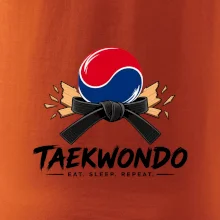 Taekwondo pás a rozlomená deska eat sleep repeat