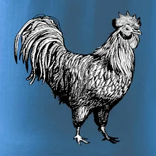 Kohút kreslený čiernobiely