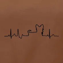 Yorkshirský teriér EKG Yorkshirský teriér EKG