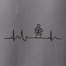 EKG Filodendron EKG Filodendron