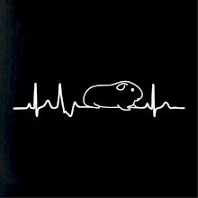 EKG morča EKG morča