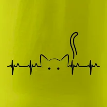 Mačka EKG