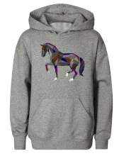 Kôň geometria farebný