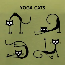 Mačacie jóga (Hana-creative)