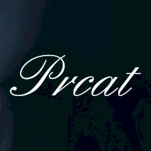 Prcat (súložiť vulgárne) Prcat (súložiť vulgárne)