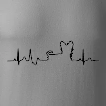 Yorkshirský teriér EKG Yorkshirský teriér EKG