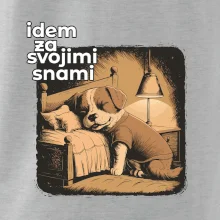 Idem za svojimi snami
