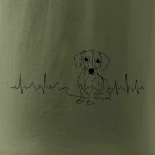 EKG krivka jazvečík