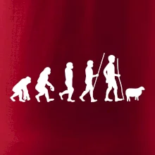 Evolúcia pastier oviec