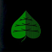 Prší - Zelený Prší - Zelený