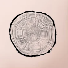 Letokruhy 80 bez veku