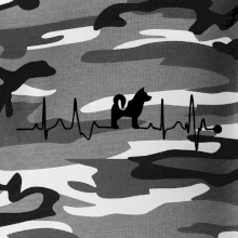 Shiba-Inu EKG Shiba-Inu EKG