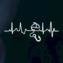 Ekg rybárčenie Ekg rybárčenie