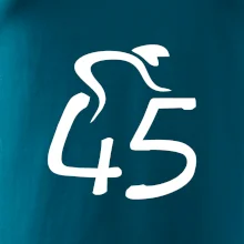Cyklista oslavuje štyridsaťpäťku (45)