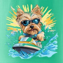 Yorkšírsky teriér na vodnom skútri