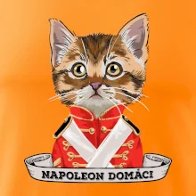 Napoleon domáci mačka Napoleon domáci mačka