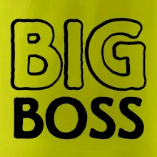 Big boss mini boss