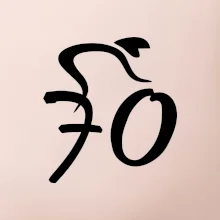 Cyklista oslavuje sedemdesiatku (70)