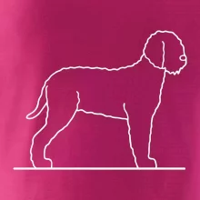 Lagotto romagnolo stojaci