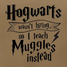 Harry - Hogwarts wasn’t hiring, so I teach Muggles instead