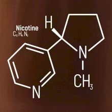 Molekulárna štruktúra Nikotín