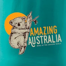 Amazing Australia koala Amazing Australia koala