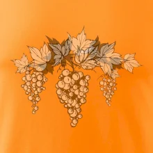 Hrozno šedé Hrozno šedé