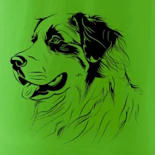 Bernský salašnícky pes čierna kresba