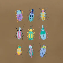 Farebné chrobáky (studio-arte.cz)