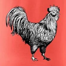 Kohút kreslený čiernobiely