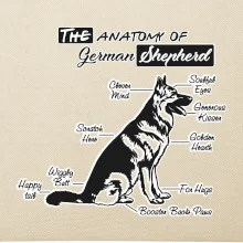 Nemecký ovčiak - Anatómia