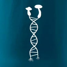 DNA huby DNA huby