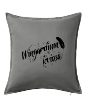 Harry - Wingardium Leviosa