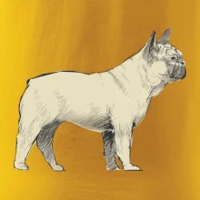 Vintage French bulldog