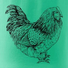 Sliepka čiernobiela